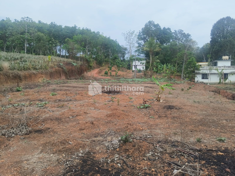 Residential Land available for Sale in Piravom Ernakulam