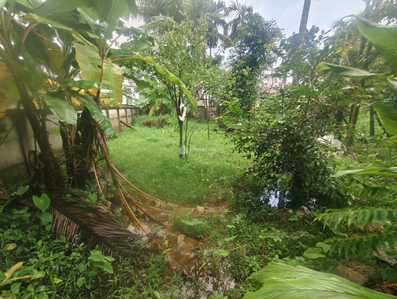 Residential Land available for Sale at Kalamassery Ernakulam