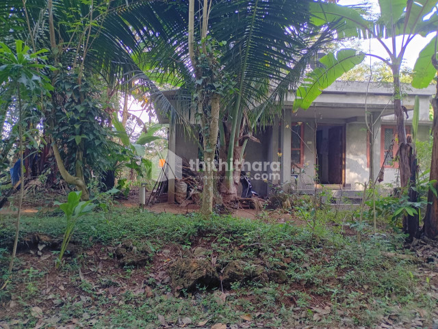 3BHK Independent House available for Sale in Attingal Thiruvananthapuram