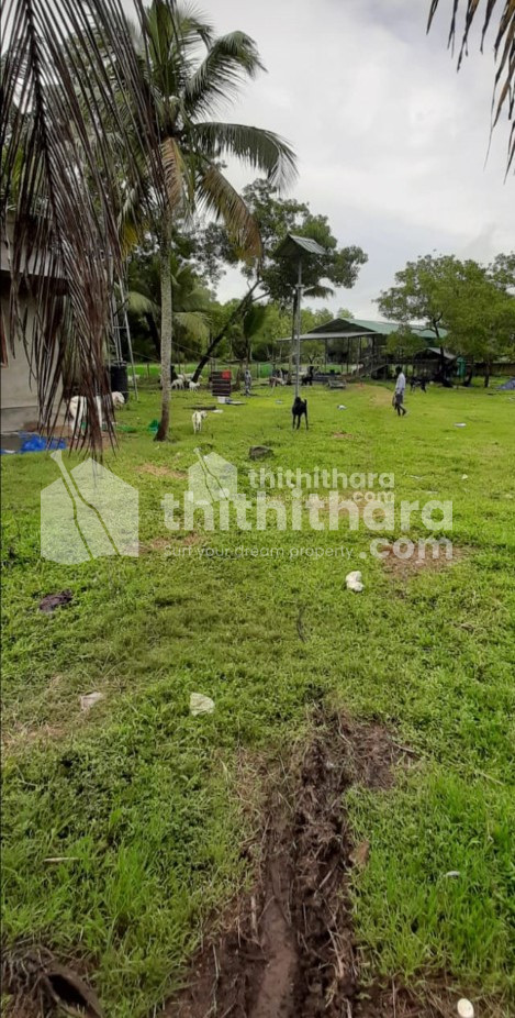 5 Acre  in Vaikom, Kottayam 