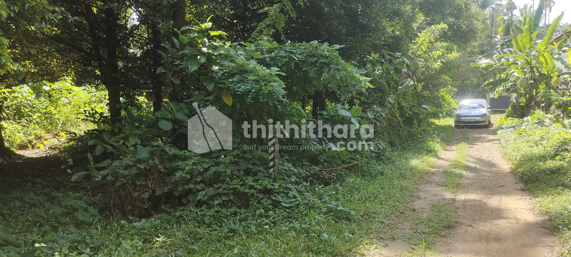 Residential Land available for Sale in Chalakudy Thrissur