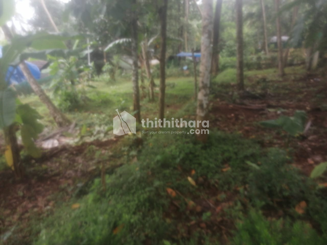 Residential Land available for Sale in Kunnamangalam Kozhikode