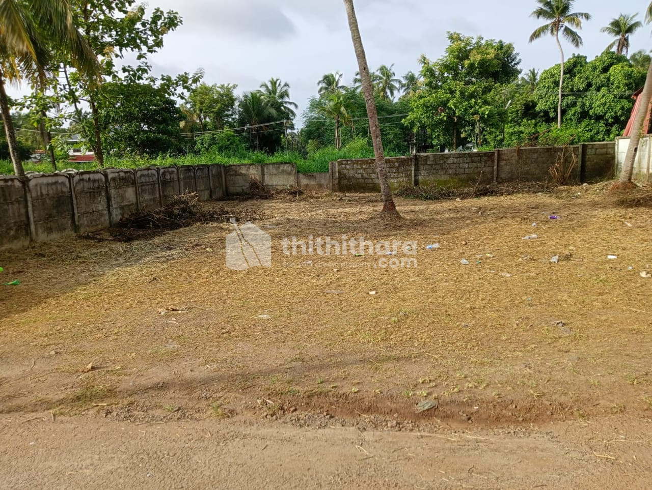Residential Land available for Sale in Ollur Thrissur