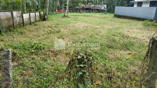 Residential Land available for Sale in  Kayamkulam Alappuzha