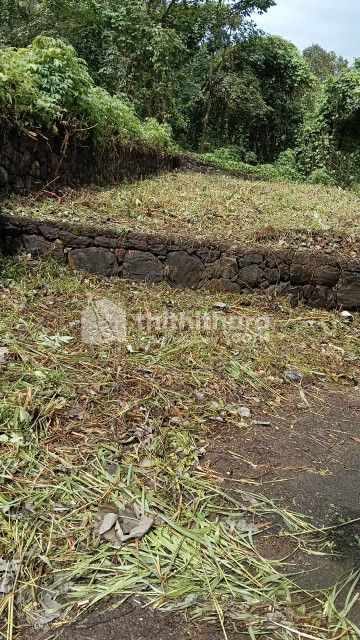 Residential Land available for Sale in Pala Kottayam