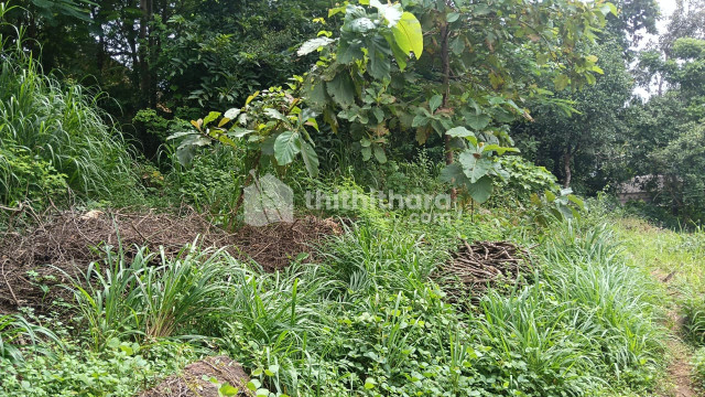 Commercial Plots available for Sale in Wadakkanchery Thrissur