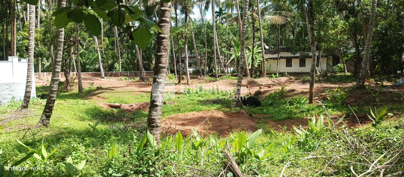 Residential Land available for Sale in Quilandy Kozhikode