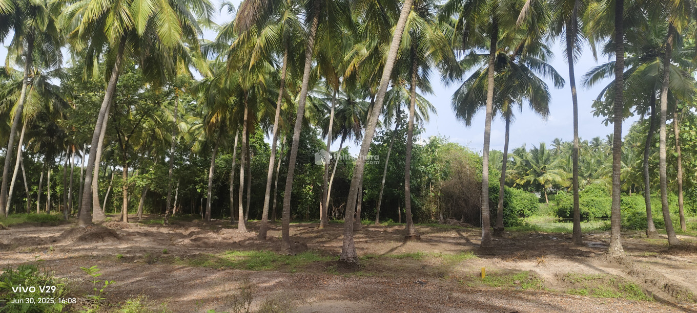 Agricultural Land Available for sale at Chittur Palakkad   