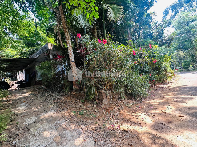 3BHK Independent House available for Sale in Pala Kottayam