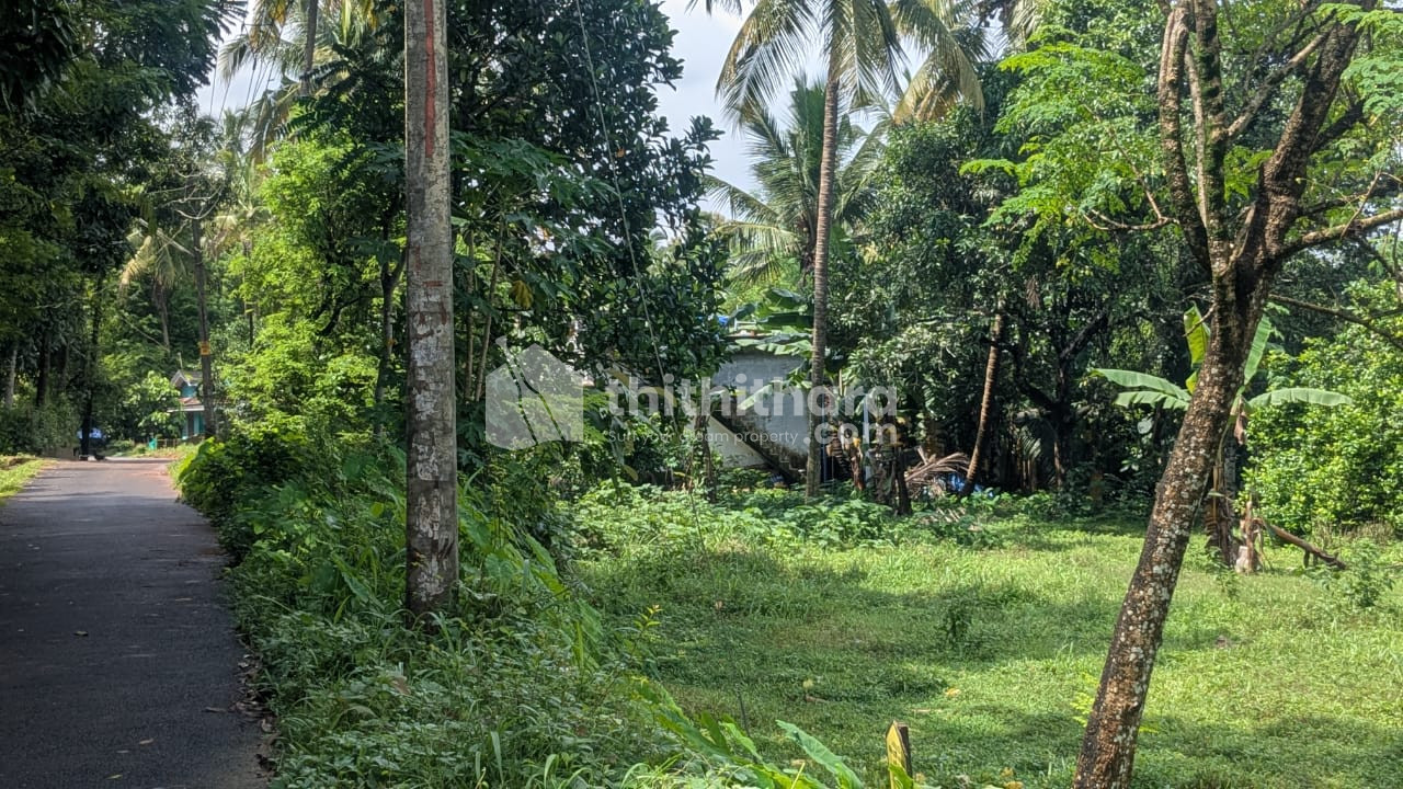 Residential Land available for Sale in Wadakkanchery Thrissur