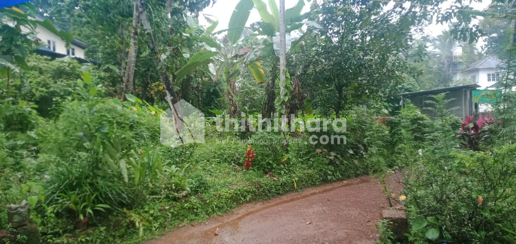 Residential Land available for Sale in Peravoor Kannur