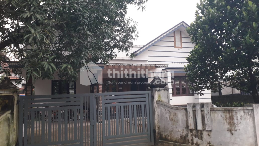  3BHK Independent House For Sale at Kothamangalam Ernakulam