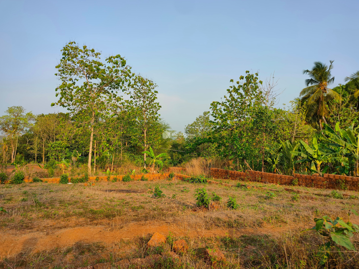 Residential Land available for Sale in Taliparamba Kannur