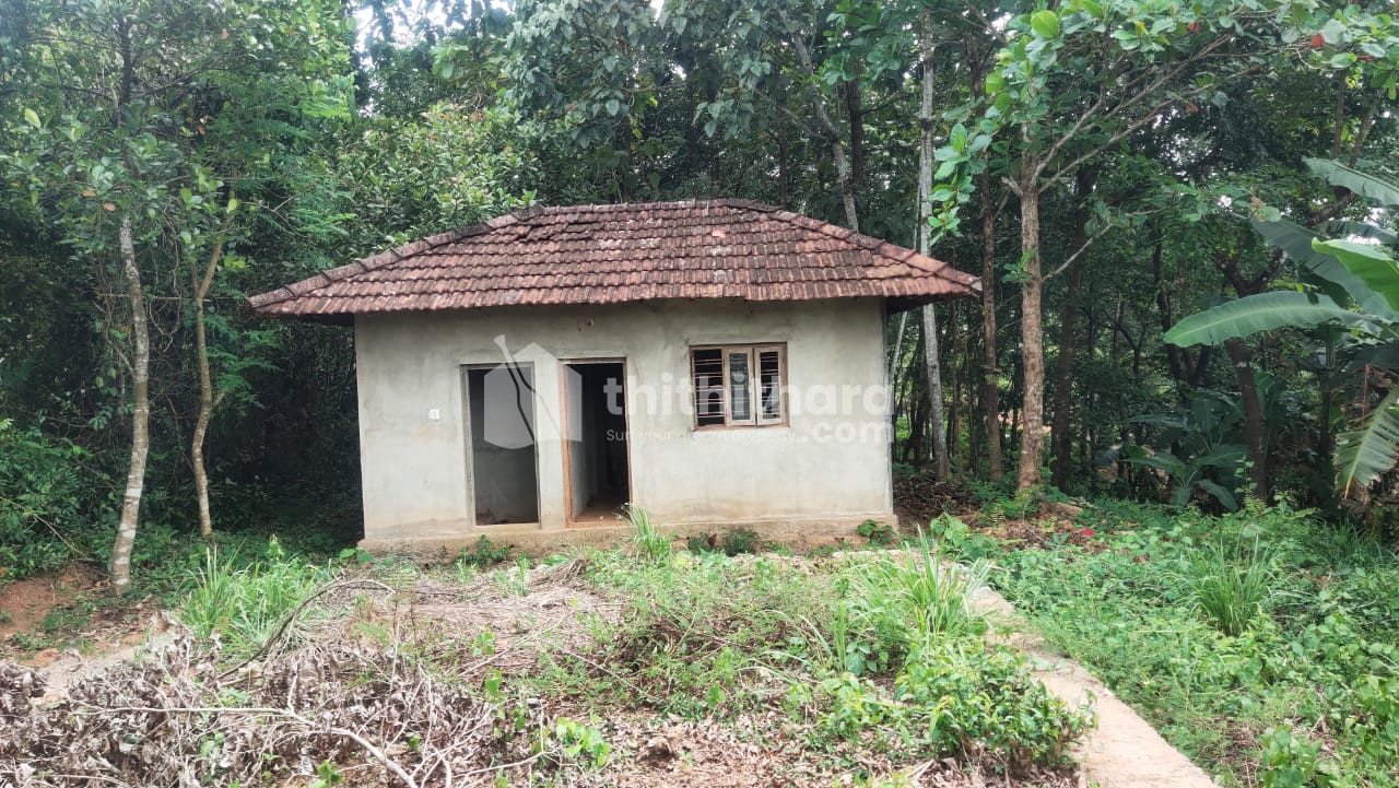 12 cent land suitable for house,villa&flat/plenty of water