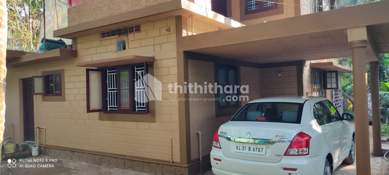 Independent climate friendly house 