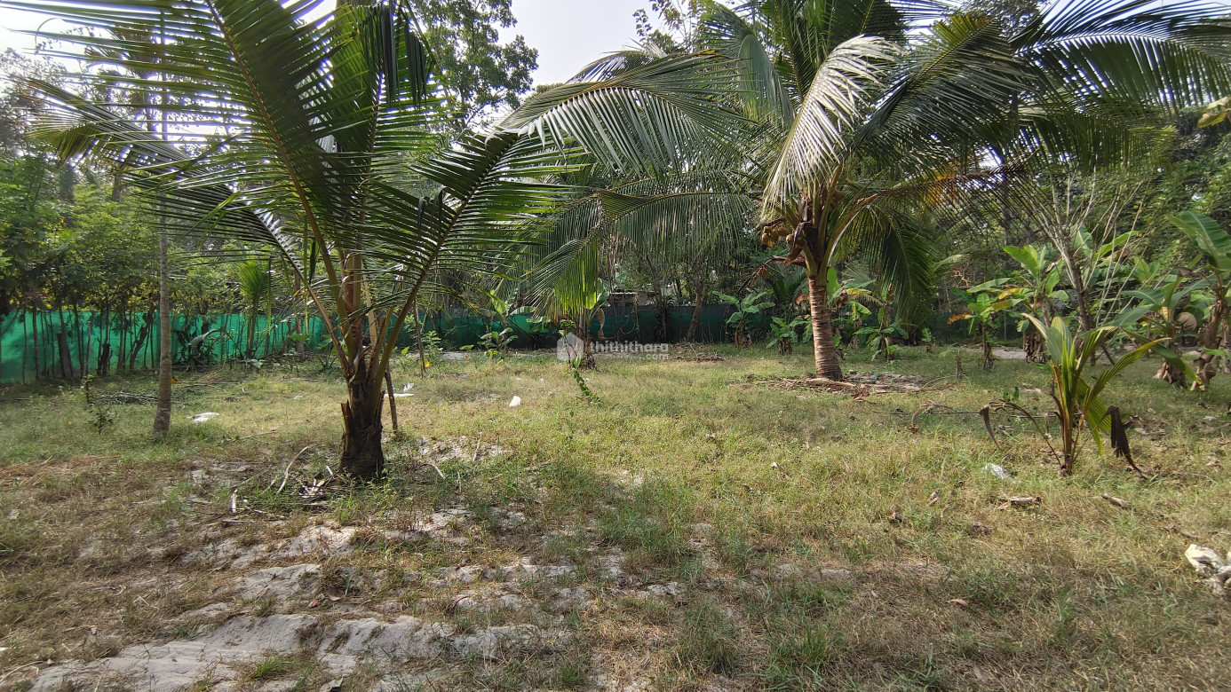 Commercial Plots available for Sale in Cherthala Alappuzha