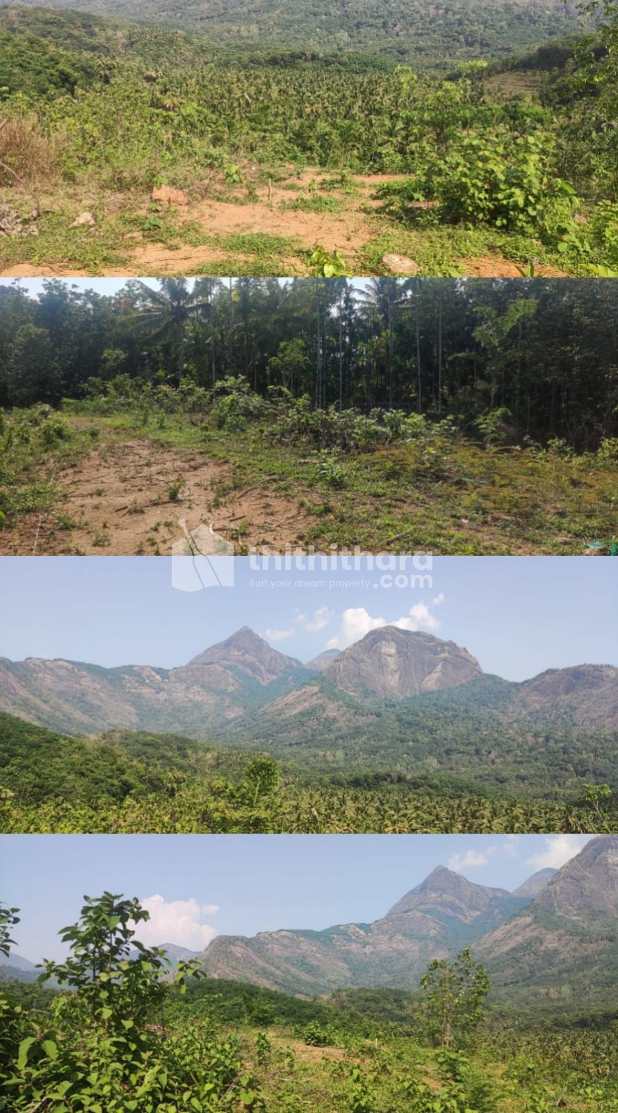 Commercial Plot available for Sale in Mannarkad Palakkad