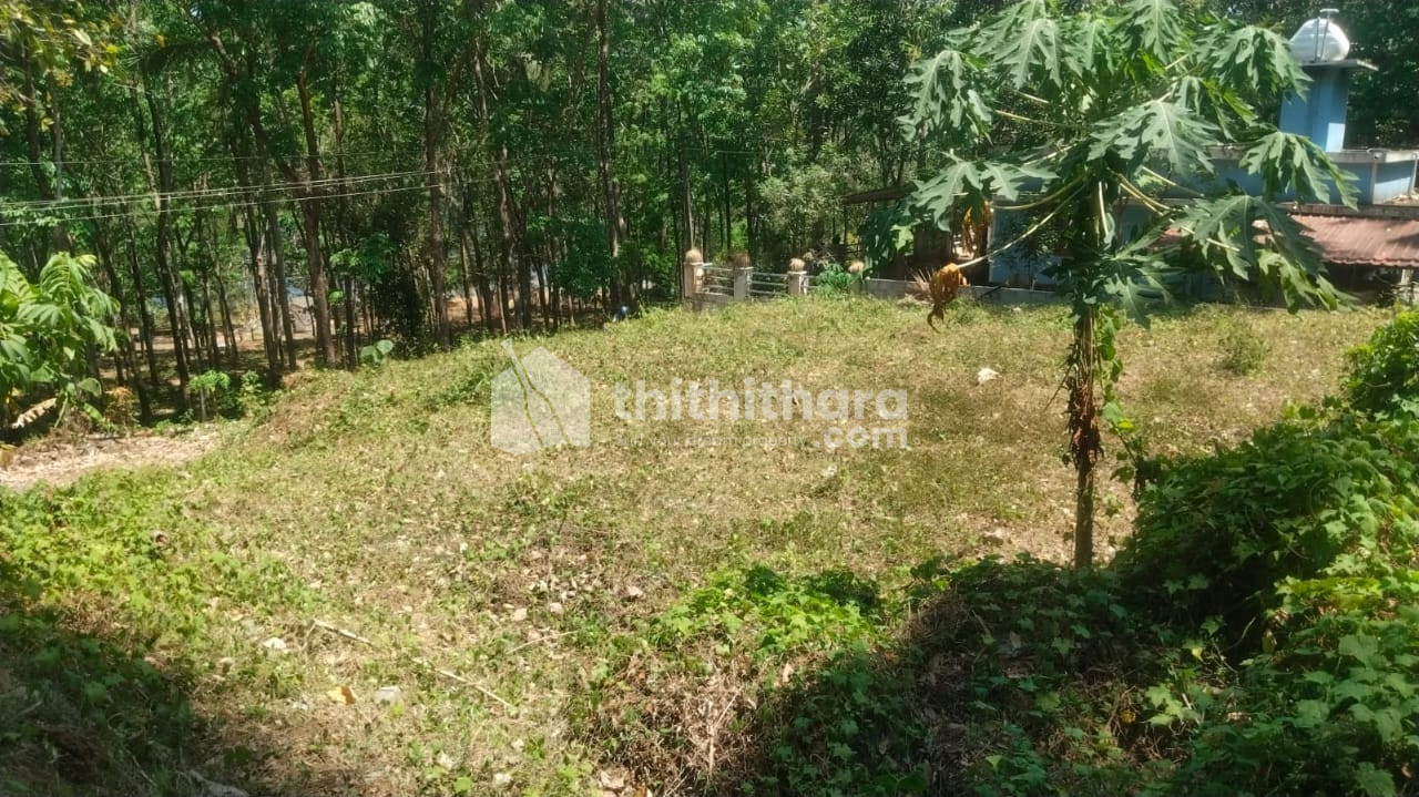 Residential Land available for Sale in Wadakkanchery Thrissur