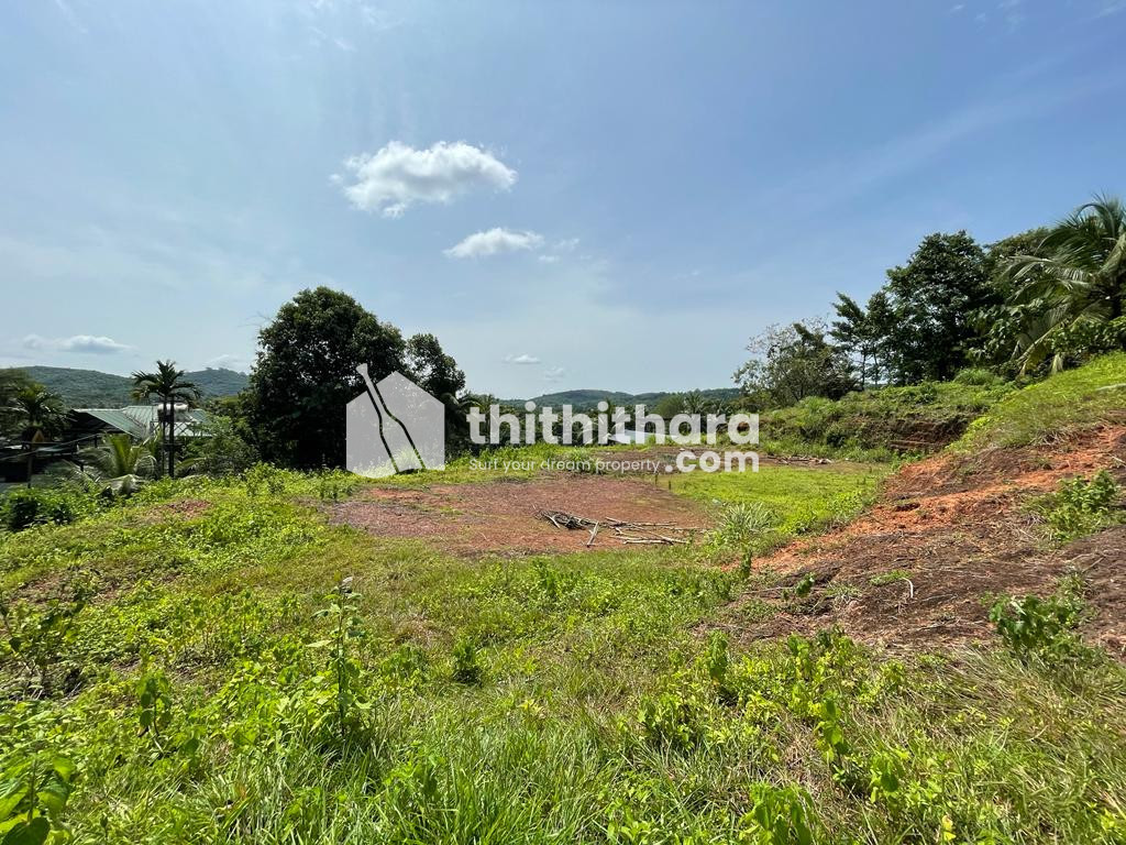 Residential Land for Sale in Manjeri (20 cents)
