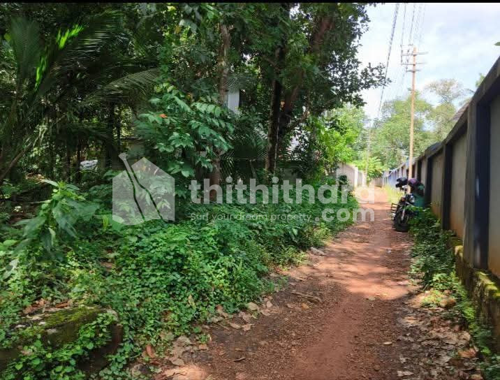 Residential Land available for Sale in mundakkal Kollam