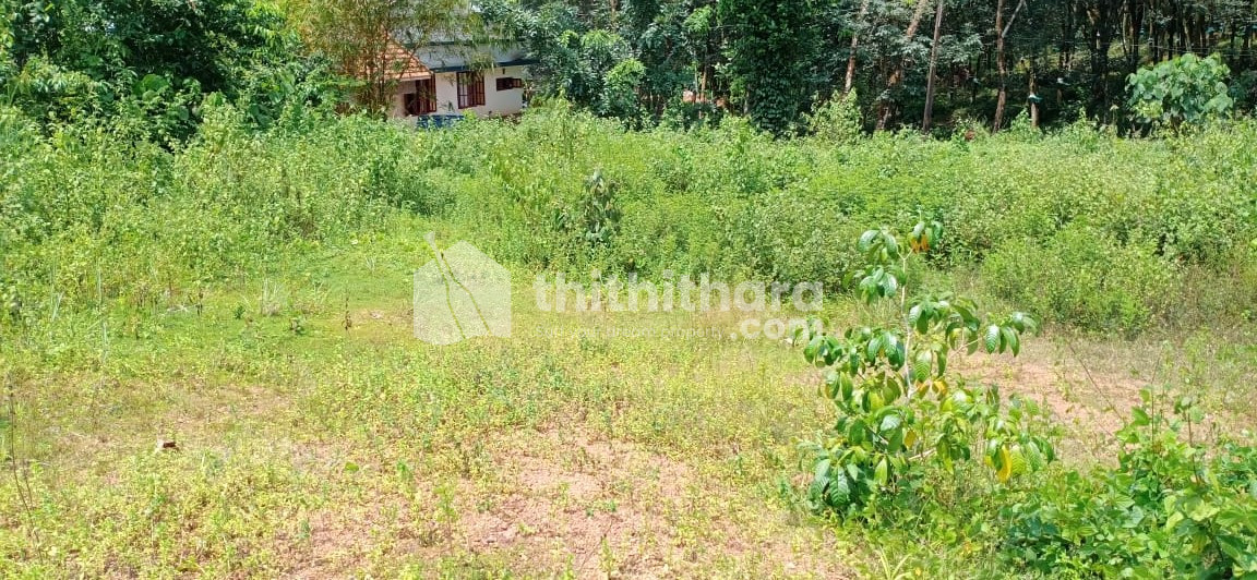 Residential Land available for Sale in Piravom Ernakulam