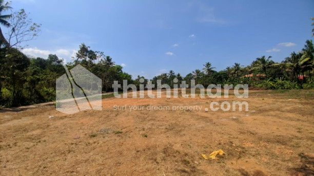 Commercial Plots Available for Sale in Adoor Pathanamthitta