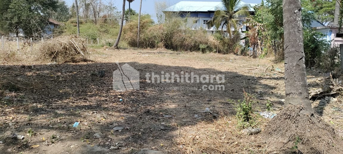Residential Land available for Sale in Kannadi Palakkad