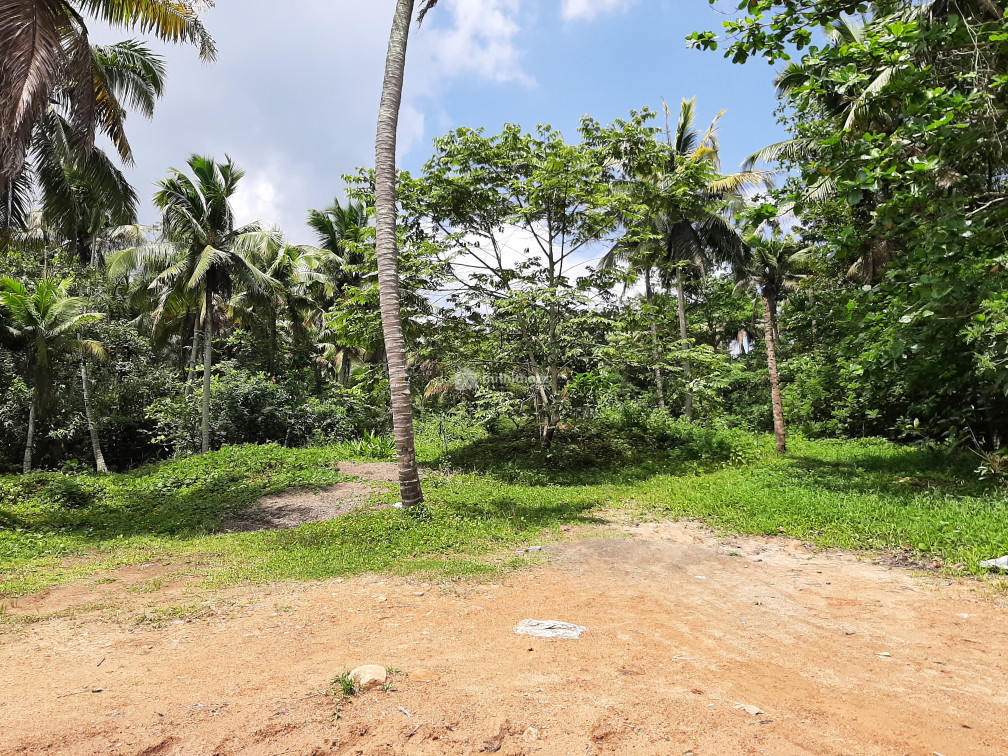 33.5 cent Vypinpady,Vaikom municipality 