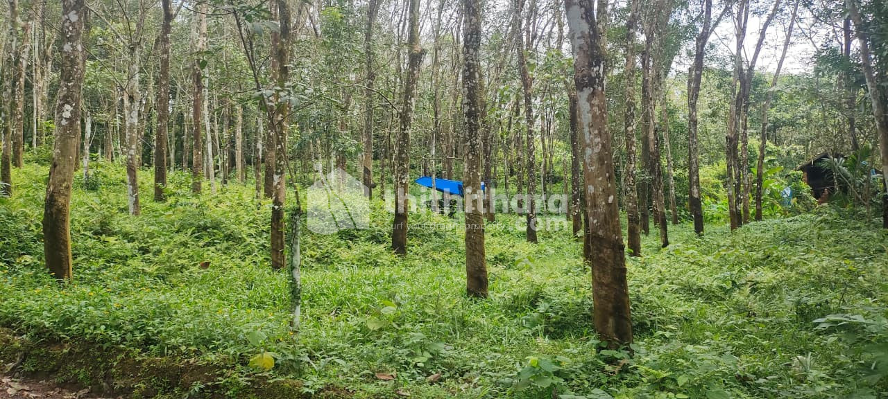 Residential Land available for Sale in Kunnathunad Ernakulam