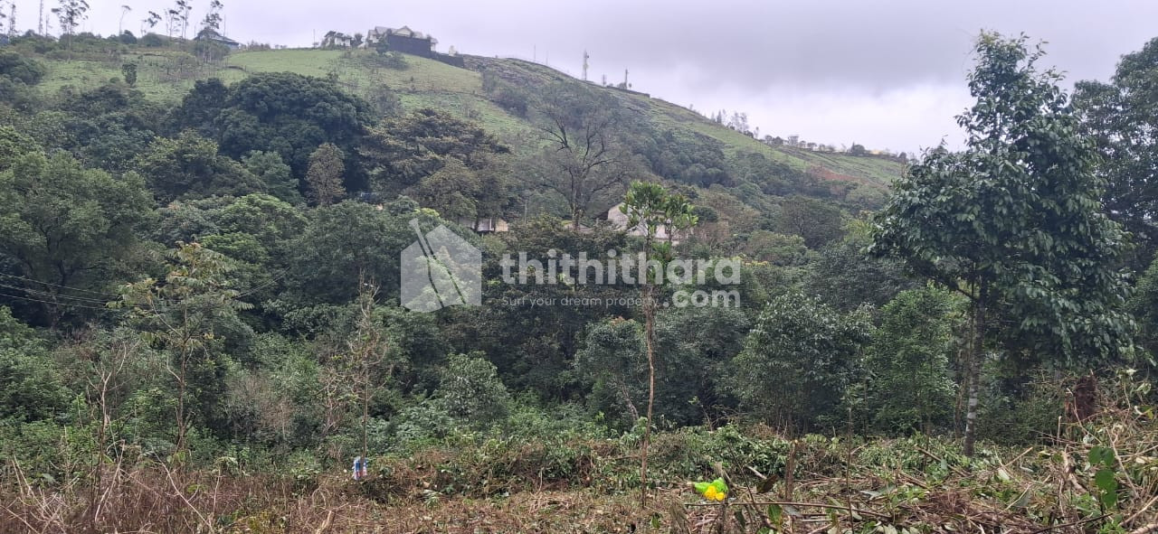 Residential Land available for Sale in Peerumade Idukki