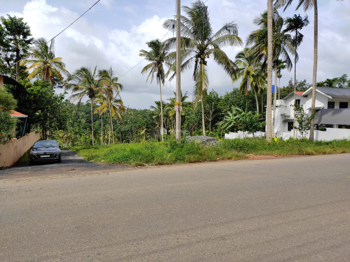 Residential Land for sale in Sultan Bathery Wayanad