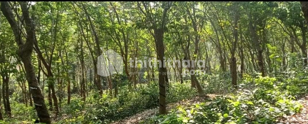 Commercial plot available for Sale in Valancheri Malappuram