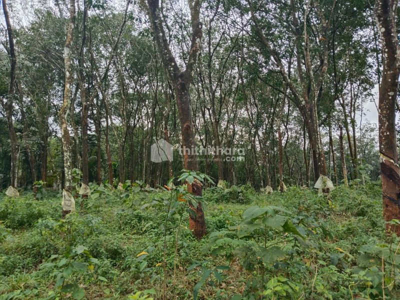 Commercial Plot available for Sale in Kanjirappally Kottayam
