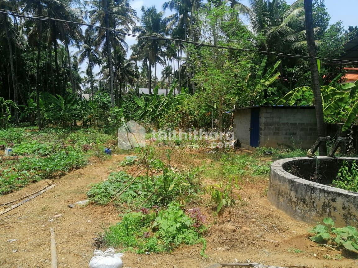 Residential land for sale in kodaly