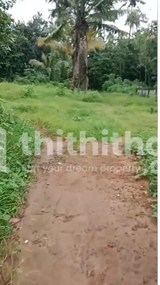 Residential plot for sale Nandipulam Thrissur