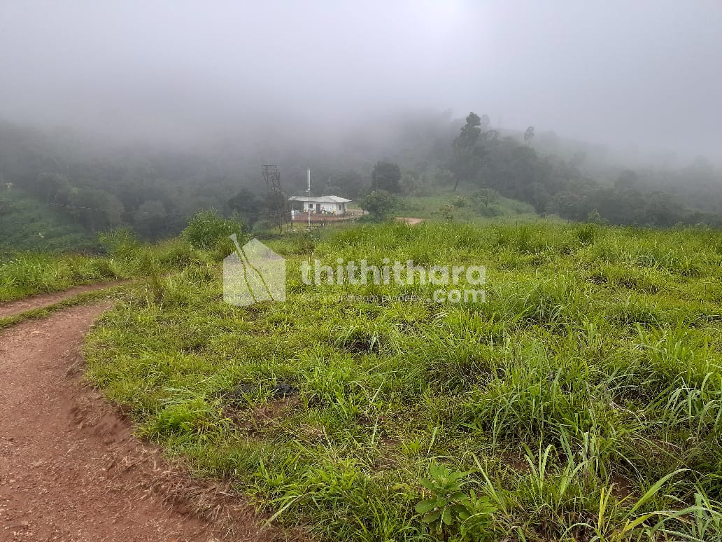 Commercial Plots available for Sale in Thodupuzha Idukki