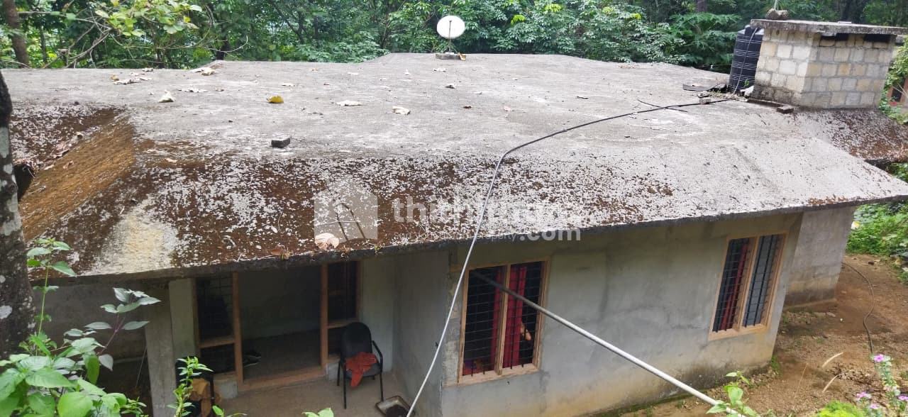 3 BHK Independent House available for Sale in Thodupuzha Idukki