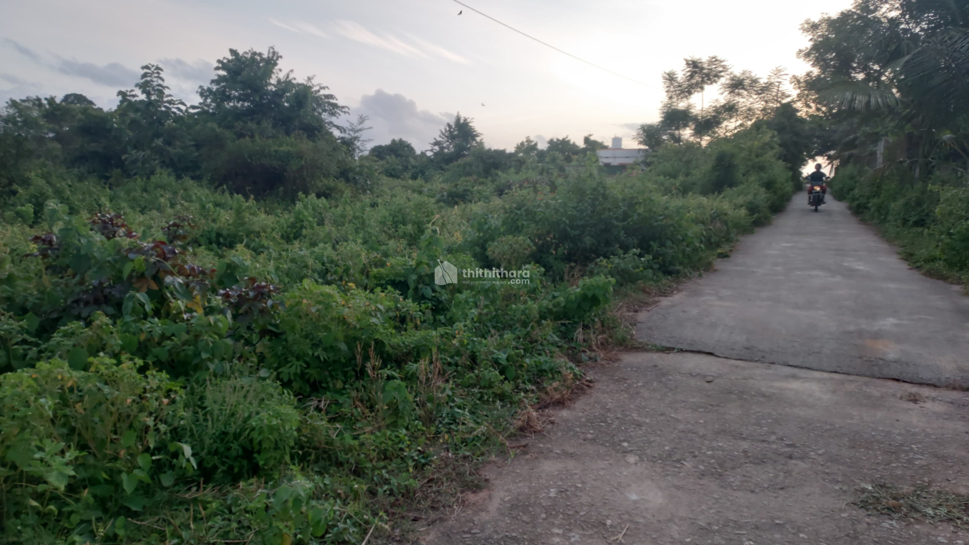 Residential Land available for Sale in Chittur Palakkad