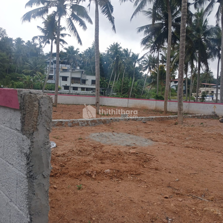 Residential Land available for Sale in Chempazanthy Thiruvananthapuram