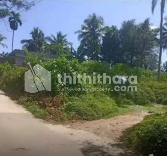 Residential Land available for Sale in Kothamangalam Ernakulam