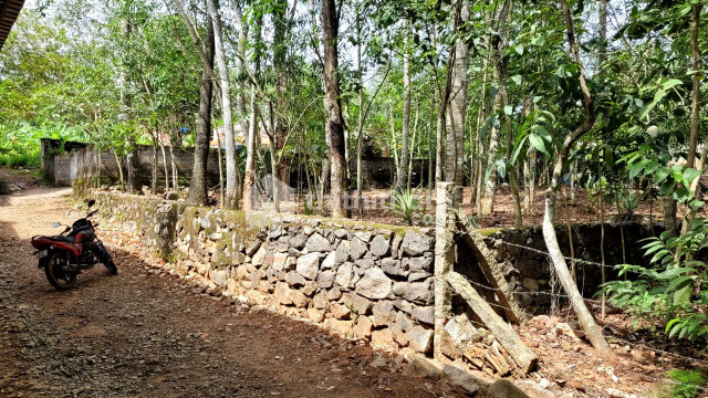 Residential Land available for Sale in Parassala Thiruvananthapuram