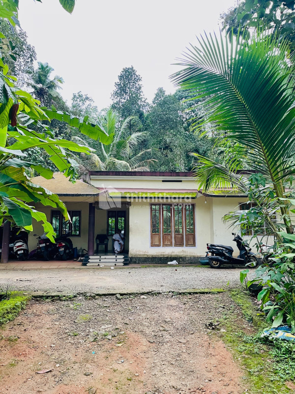 4BHK Independent House available for Sale in Kothamangalam Ernakulam
