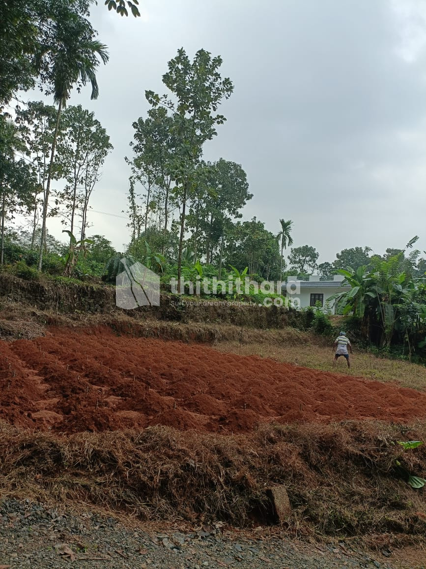Residential Land available for Sale in Pala Kottayam