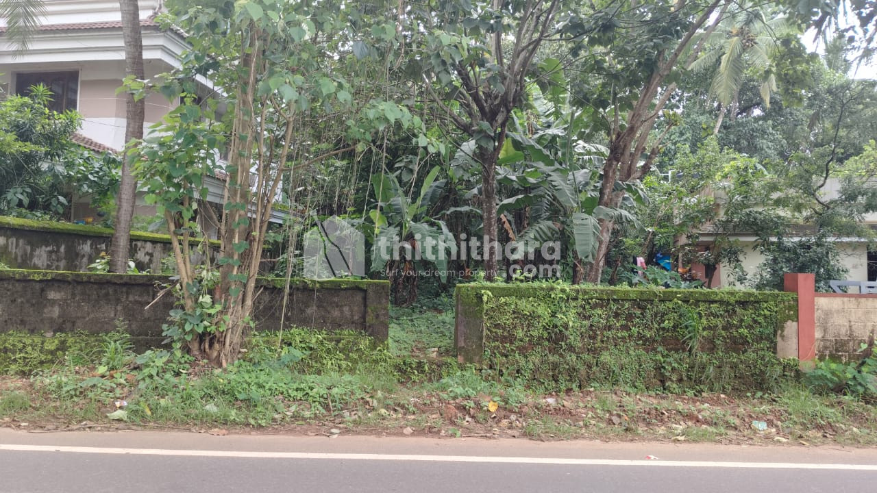 Residential Land available for Sale in Kunnamkulam Thrissur