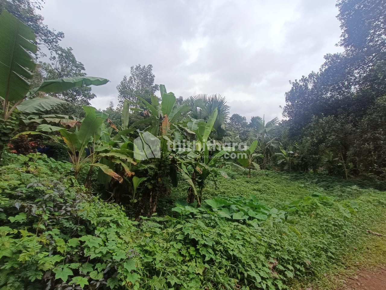 Residential Land available for Sale in Vazhoor Kottayam