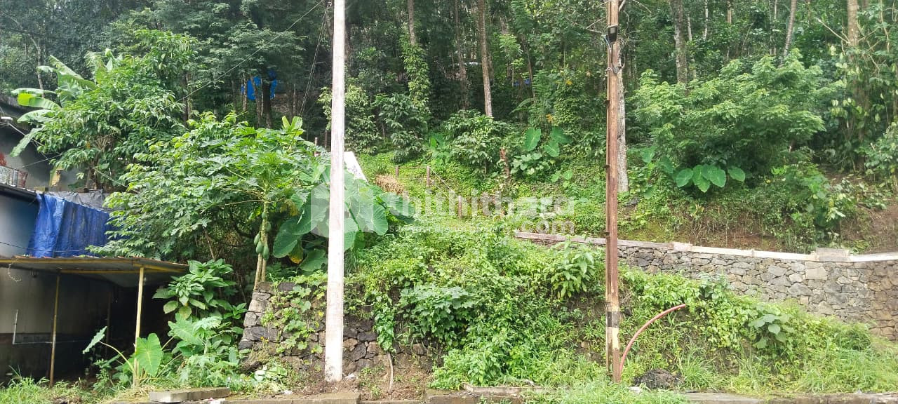 Residential Land available for Sale in Parappu Idukki