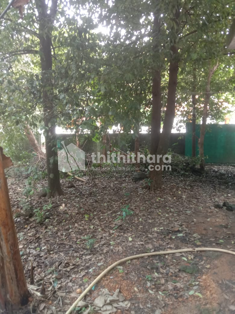 Residential Land available for Sale in Angamaly Ernakulam