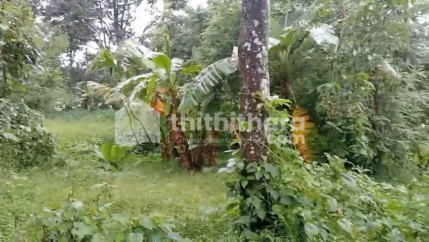 Commercial Plots available for Sale in Mananthavady Wayanad