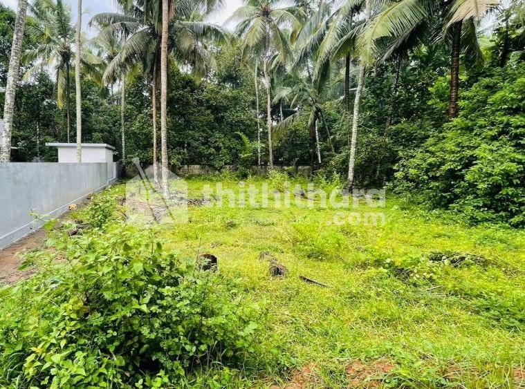 Residential Land available for Sale in Kunnamkulam Thrissur