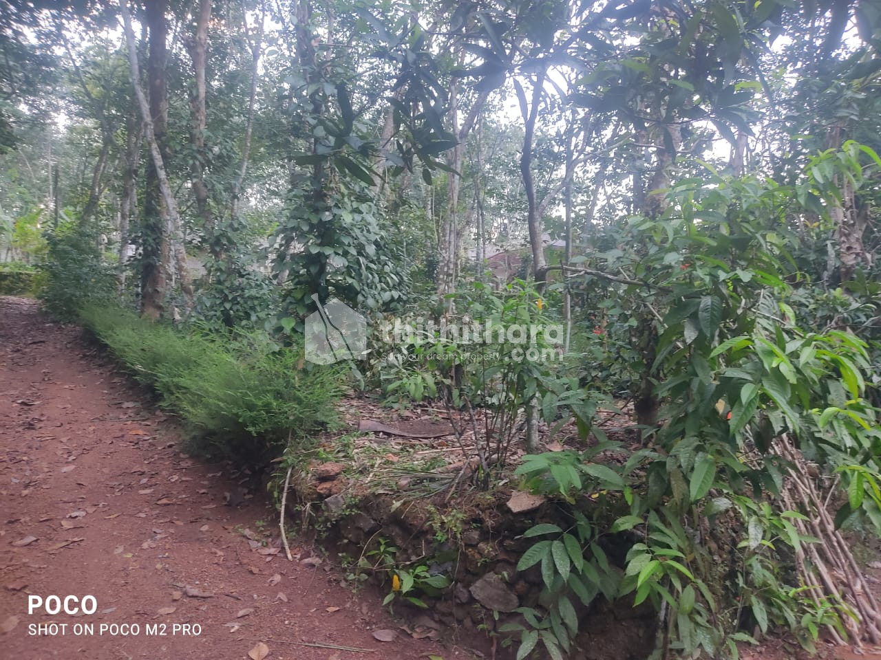 Residential Land available for Sale in Changanassery Kottayam